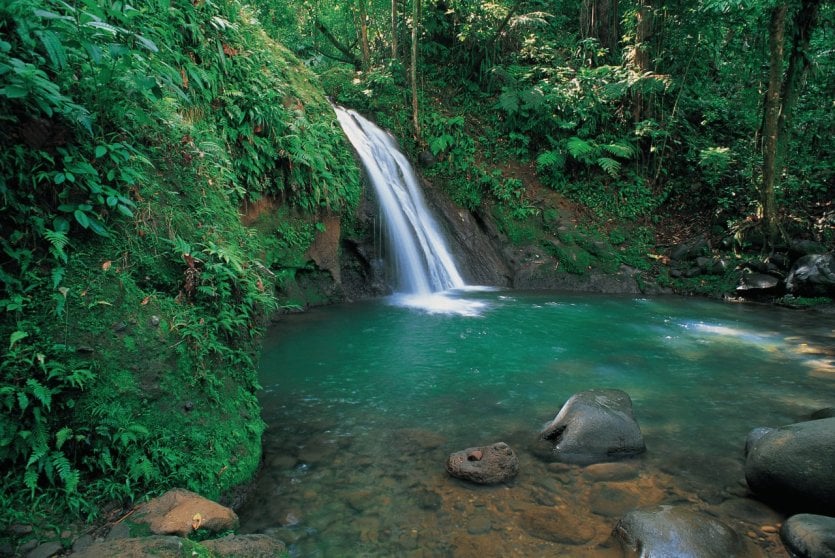 Guadeloupe Butterfly Island With A Thousand Colors Guadeloupe