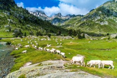 Les incontournables des Pyrénées