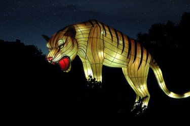 1ER FESTIVAL DES LUMIÈRES AU JARDIN DES PLANTES DE PARIS