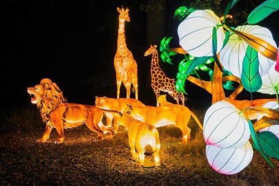 Illuminations féériques au ZooSafari de Thoiry