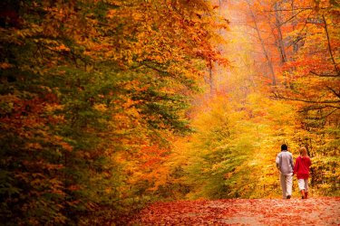 Où partir en automne ? Où et quand partir : destinations et conseils
