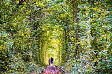 Klevan, le tunnel de l'amour