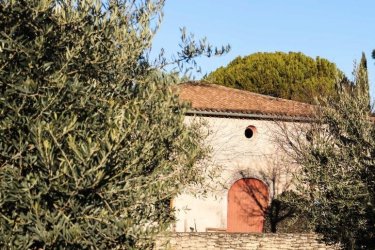 NOUVEAU : Un musée de l'huile d'olive au Domaine de La Royère