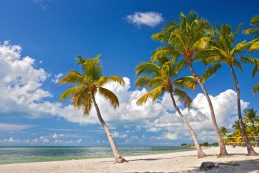Plage sur Key West, Floride