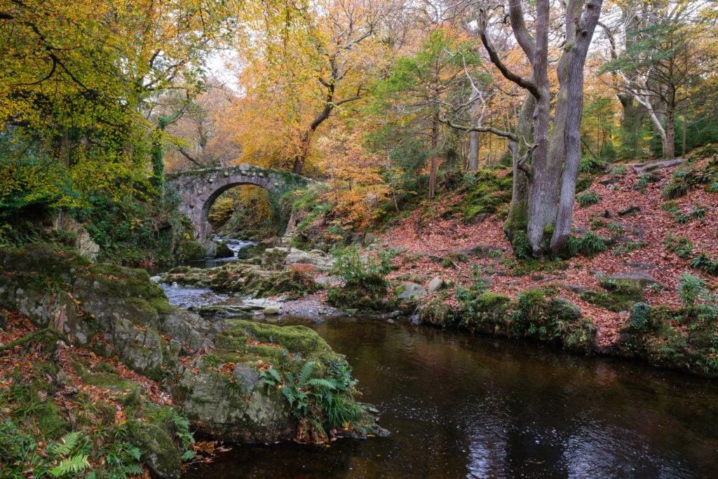 Tollymore Forest Park - itinéraire en Irlande du Nord sur les traces de Game of Thrones