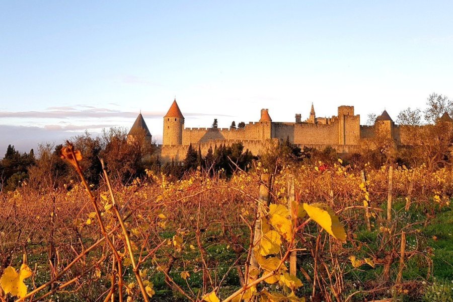Vue d'automne sur la Cité médiévale de Carcassonne