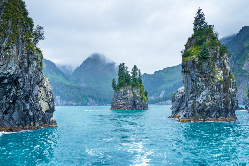 Que faire en Alaska ? Une croisière dans le Kenai Fjords National Park