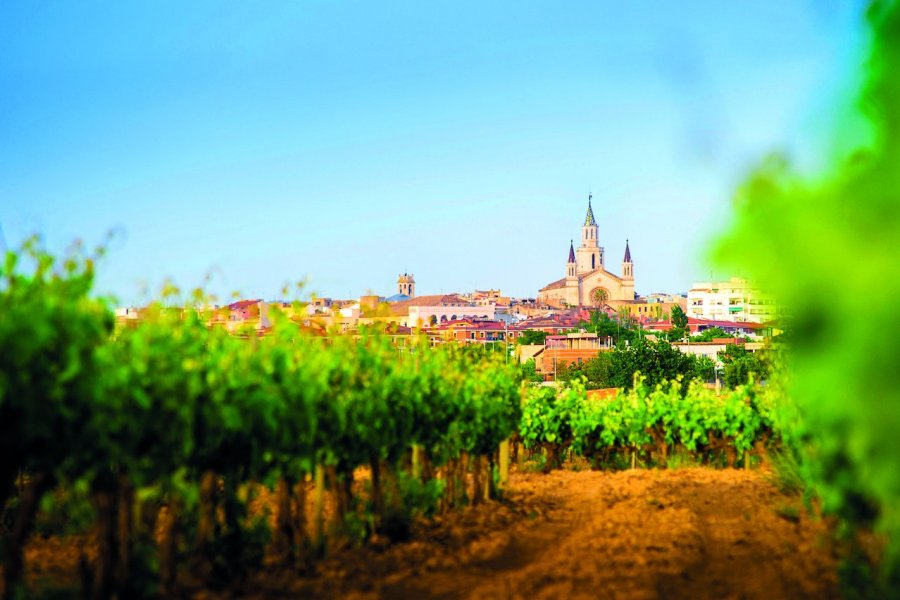 Vilafranca del Penedès, une ville historique au coeur des vignobles catalans