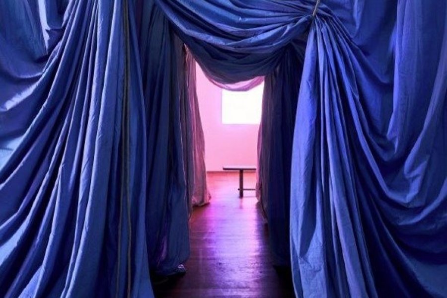 Le milieu est bleu, nouvelle exposition au Palais de Tokyo