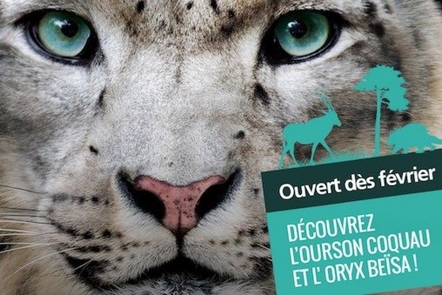 Le Parc Animalier d'Auvergne a réouvert ses portes au public