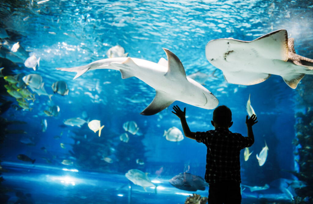 Enfant dans un aquarium