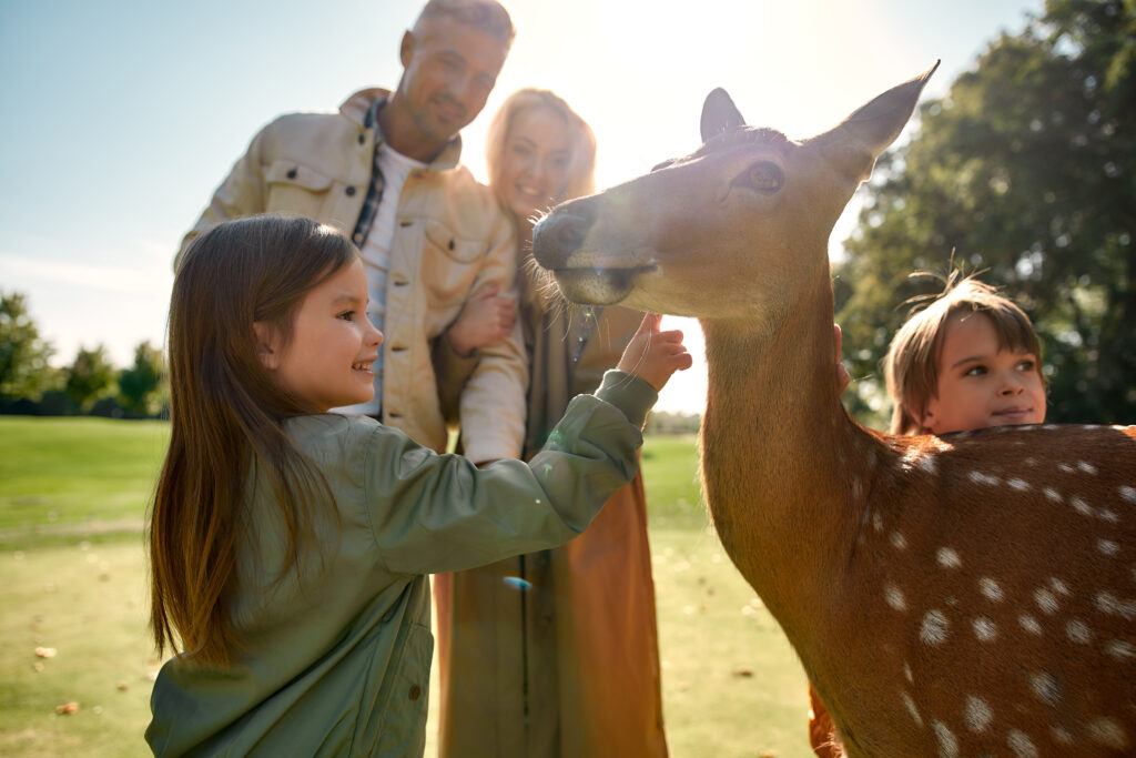 Famille au zoo