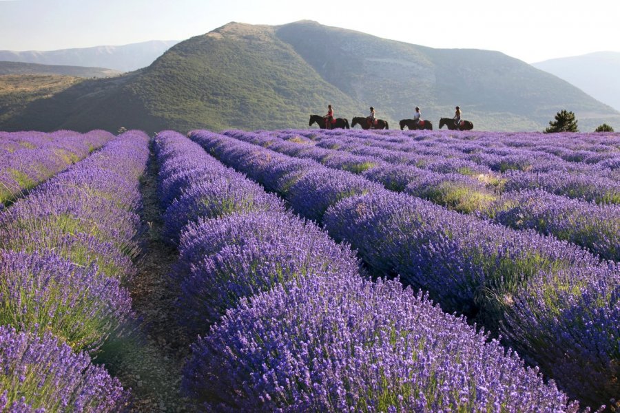 ​​​​​Provence-Alpes-Côte d'Azur, des parcs naturels régionaux aux mille facettes