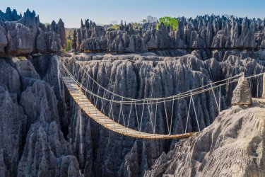La Réserve naturelle intégrale des Tsingy de Bemaraha à Madagascar