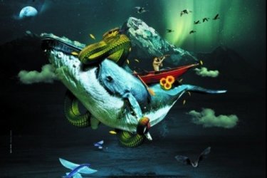 Exposition Perds pas le Nord : techniques des êtres vivants pour se repérer et se déplacer