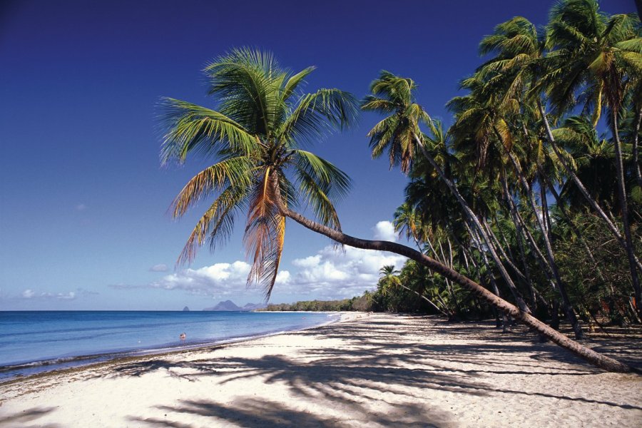 La Martinique, carte postale du paradis