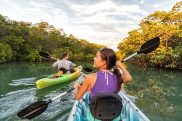 Découverte du parc national des Everglades en kayak.