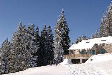 Les Vosges, entre féerie de Noël et stations de ski familiales en pleine nature