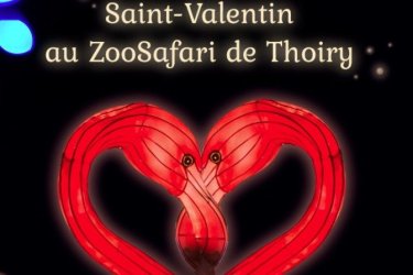 Célébrer la Saint-Valentin avec les animaux amoureux du Zoo de Thoiry : ça vous dit ?