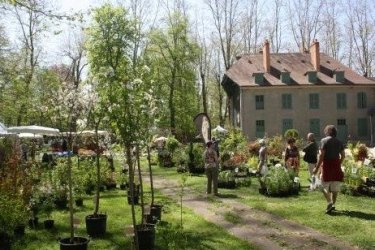 Randanplants : le rendez-vous des professionnels du jardin d'agrément