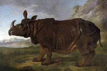 Animaux et bestioles au programme des expositions de la rentrée au Rijksmuseum