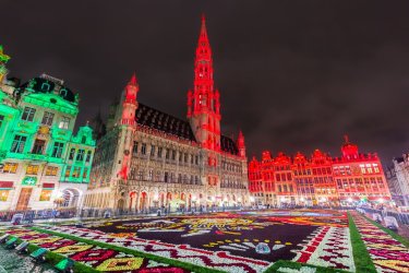 Le Tapis de Fleurs de Bruxelles est de retour pour son 50e anniversaire