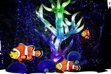 Thoiry lance sa saison hivernale avec Thoiry Lumières Sauvages
