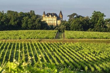 Portes ouvertes au château de Rayne Vigneau