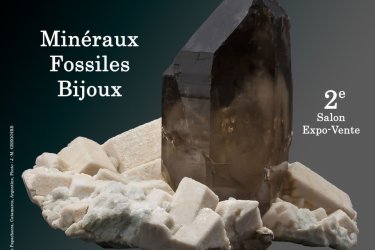 2e SALON MINERAUX FOSSILES BIJOUX de CASTELNAUDARY (Aude)