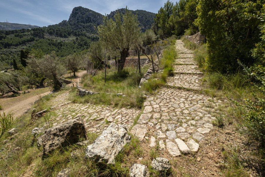 La Route de la Pierre Sèche : une randonnée incontournable à Majorque