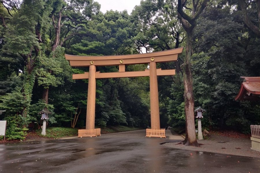 Torii à l'entree du sanctuaire Meiji, Tokyo