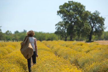 Suivre la Route des Sens authentiques et s'émerveiller de la Corse rurale