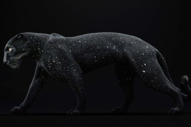 Le Musée de la Chasse et de la Nature invite Vincent Fournier