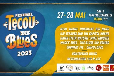Festival Tecou en Blues #2