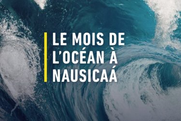 A Nausicaá, un mois de sensibilisation à la protection des écosystèmes marins