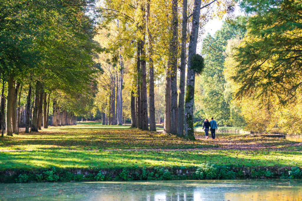 La forêt domaniale de Rambouillet