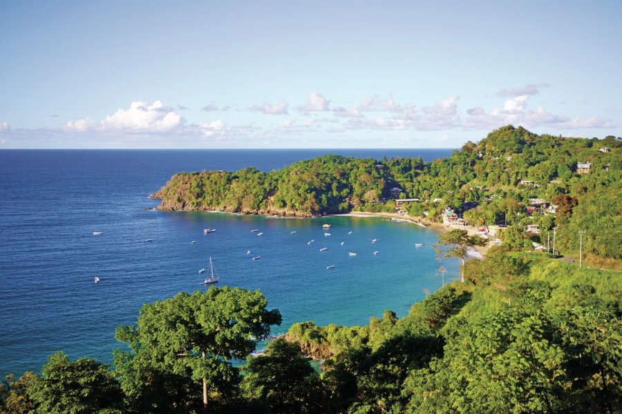Tobago, un joyau méconnu et royaume de biodiversité