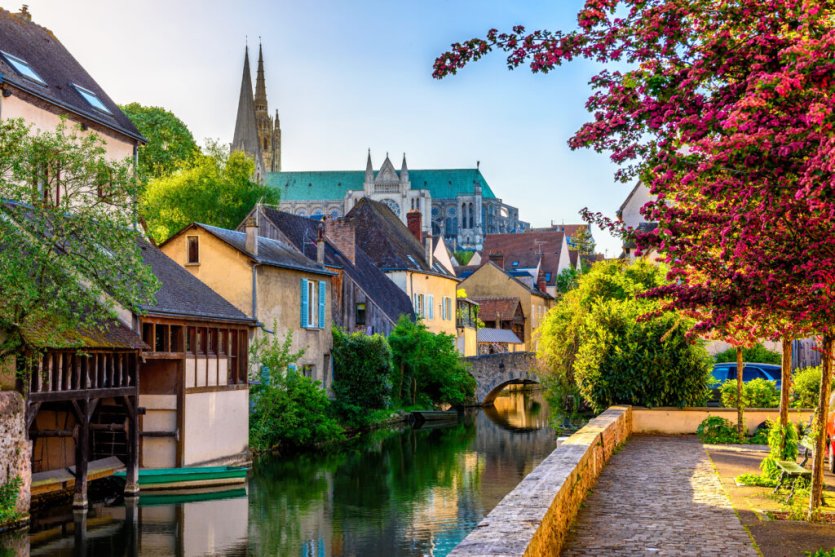 Découvrez ses toiles en toile - Chartres (28000)