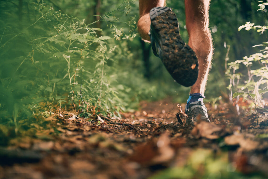 Running en forêt 