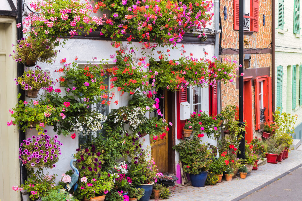 Rue fleurie de Saint-Valery-sur-Somme