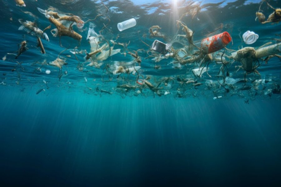 Pollution plastique des océans : quelles solutions ?