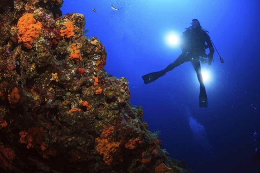 欧洲十大最美的水肺潜水点