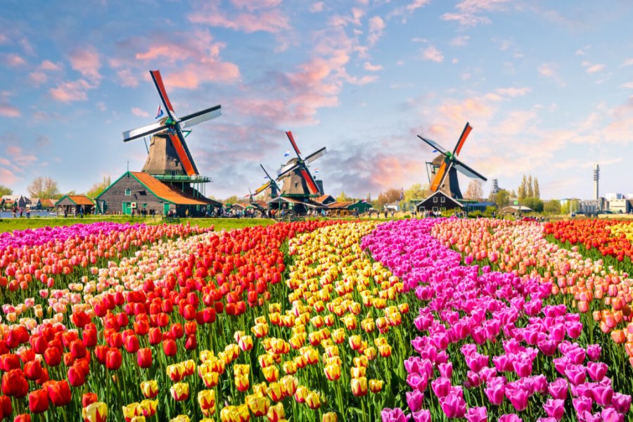 ¿Qué hacer y ver en Holanda? Los 15 lugares más bonitos
