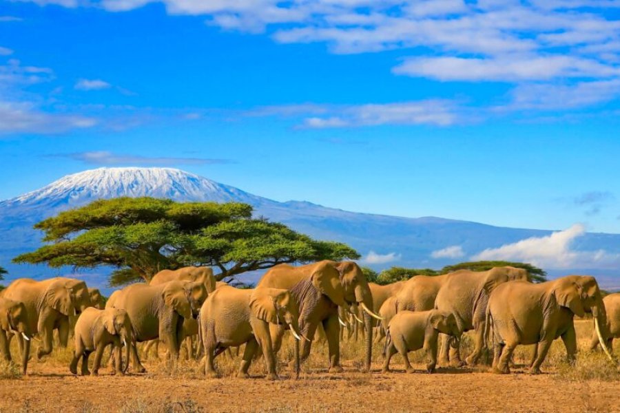 Que faire au Kenya ? Les 21 plus beaux endroits à visiter