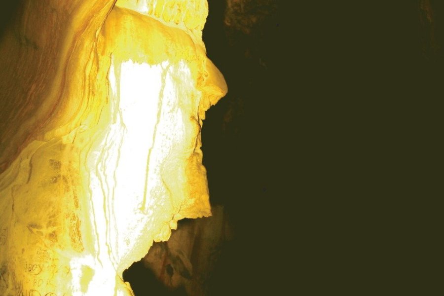 Spectacle Musical  de MIROSLAV MILOSEVIC à la Grottes de Lombrives