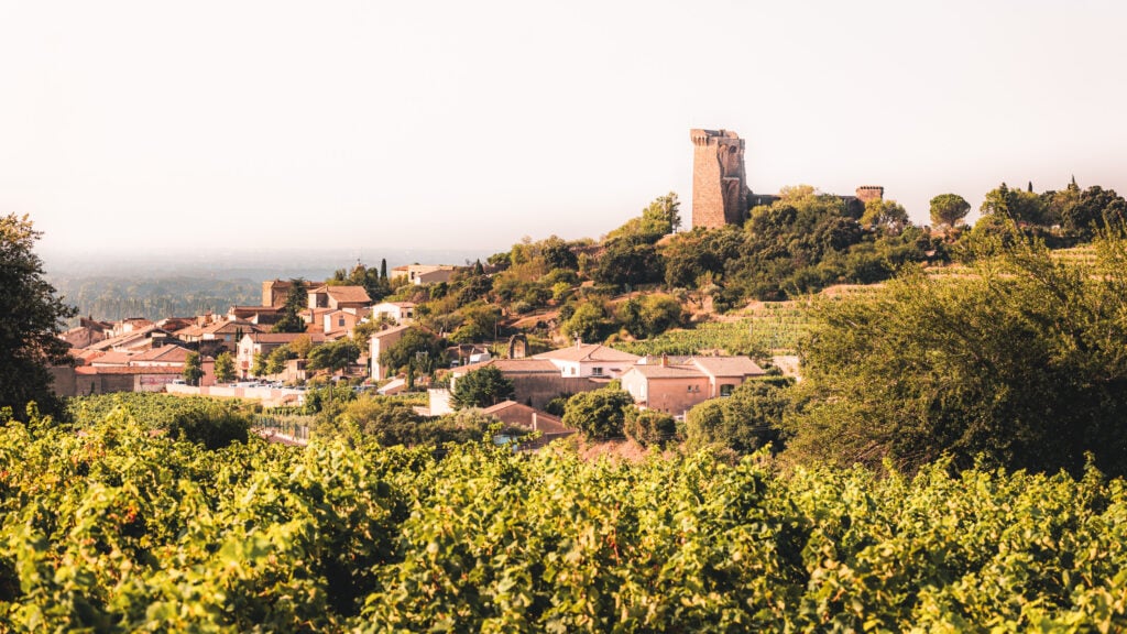  Châteauneuf-du-Pape