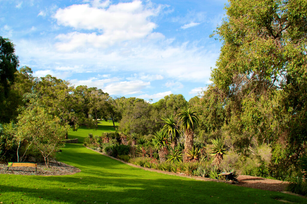 King's park à Perth