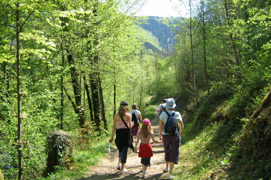Top 11 hikes in the Jura region
