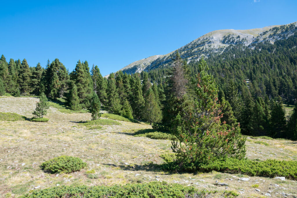 Vercors