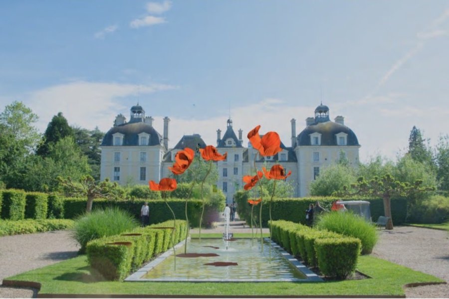 Cet été, le Château de Cheverny accueille des coquelicots géants !